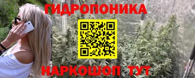 прущие грибы Кулебаки